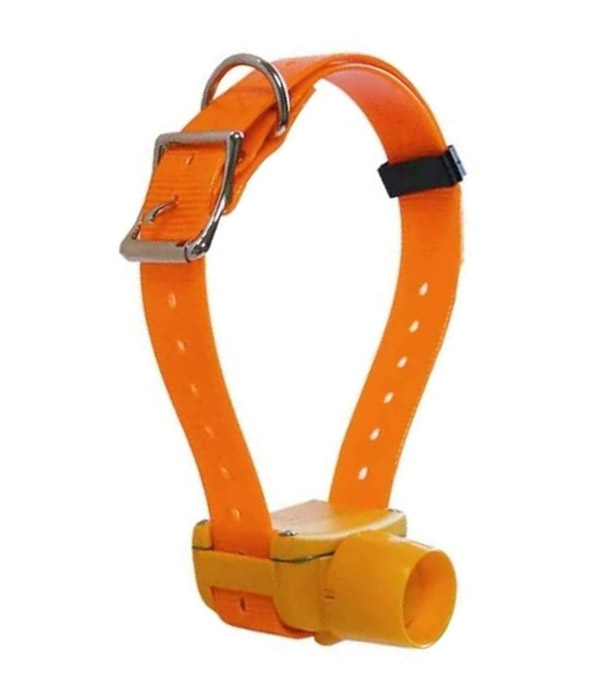 numaxes-canibeep-radio-orange