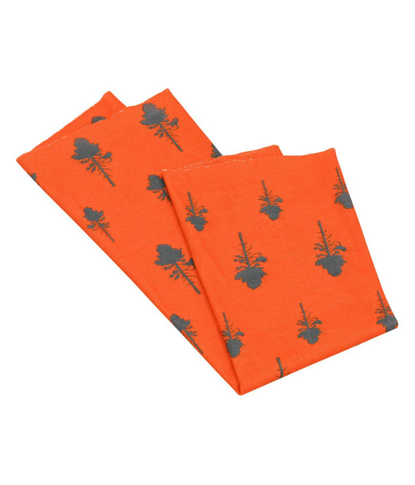 pinewood-5896-orange