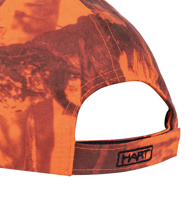 hart-donon-c_04