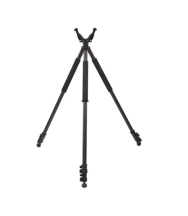 vector_638-0033_0.jpg