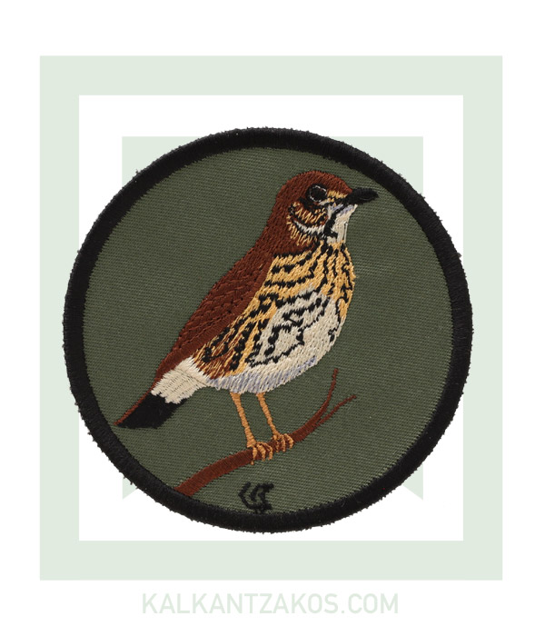 kinigoseu-patch-tsihla-prasino.jpg