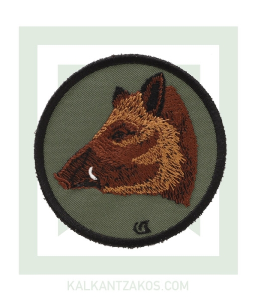 kinigoseu-patch-goyroyni-prasino.jpg