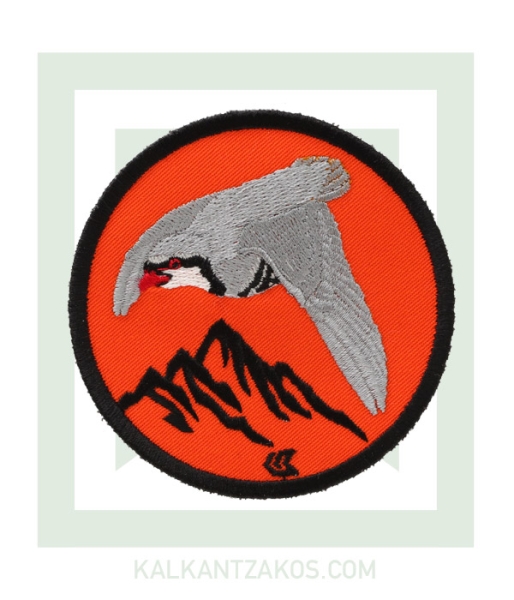 kinigoseu-patch-perdika-portokali.jpg