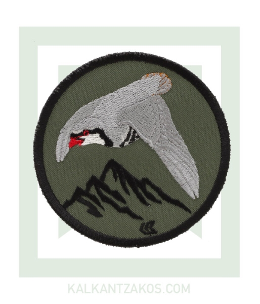 kinigoseu-patch-perdika-prasino