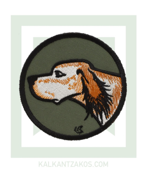 kinigoseu-patch-skylos-pointer-prasino