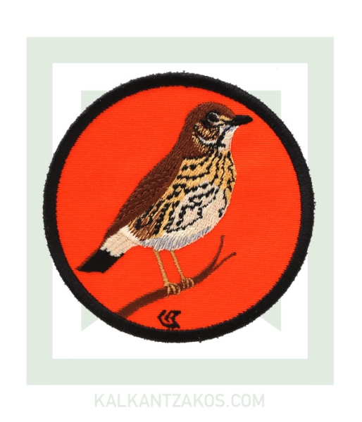 kinigoseu-patch-tsihla-portokali.jpg