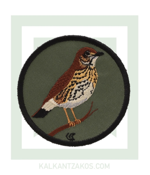 kinigoseu-patch-tsihla-prasino.jpg