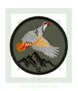 kinigoseu-patch-perdika-hroma-prasino.jpg