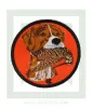 kinigoseu-patch-skylos-mpekatsa-portokali.jpg