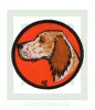 kinigoseu-patch-skylos-setter-portokali.jpg