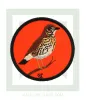 kinigoseu-patch-tsihla-portokali.jpg