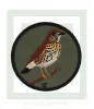 kinigoseu-patch-tsihla-prasino.jpg